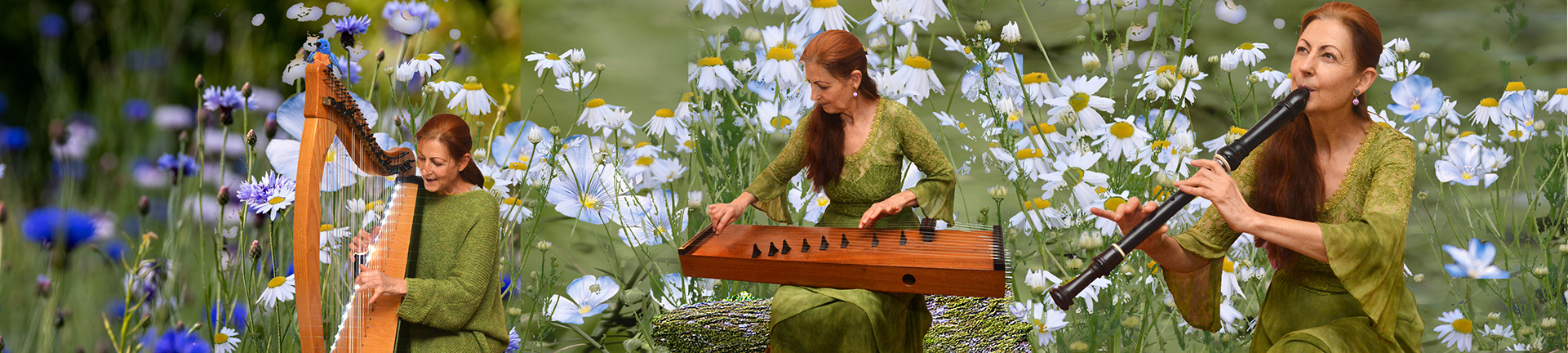 Concert Musico-Poétique